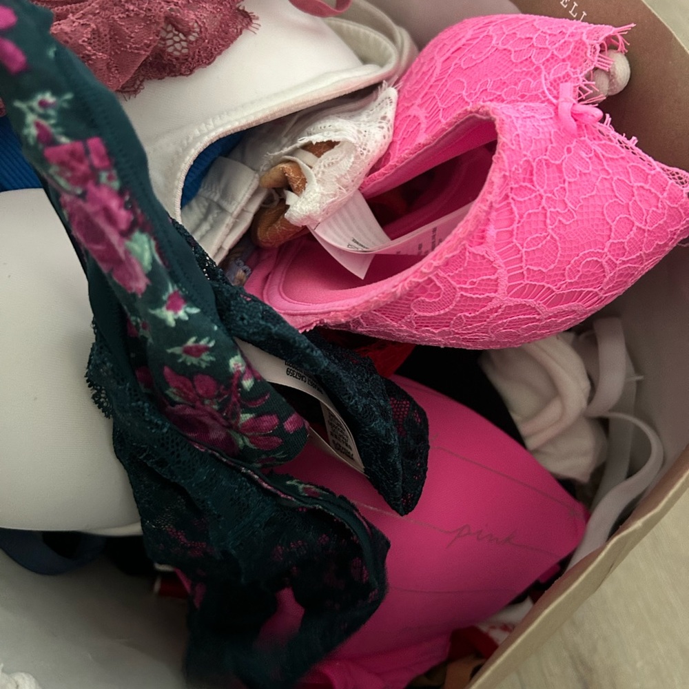womens bag of intimates (bras,underwear,tank tops,etc)